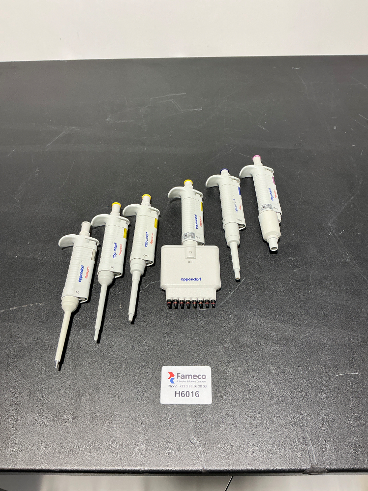 Image of Eppendorf Research Pipettes x6